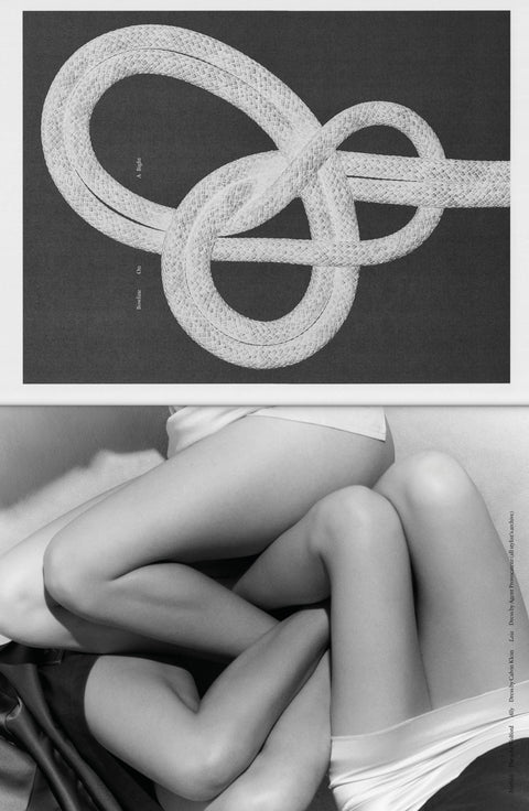 The Plant, Issue 22