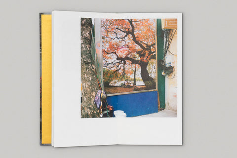 A Folktale From Vietnam, Gianpaolo Arena