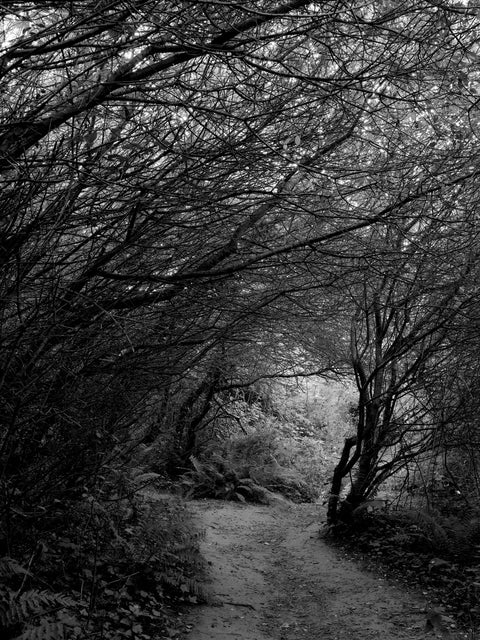 Tarraingíonn Scéal Scéal Eile (One Story Leads to Another), Iollann Ó Murchú