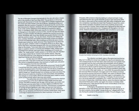 Megalopolis - A Future For Big Cities, Peter Butenschøn