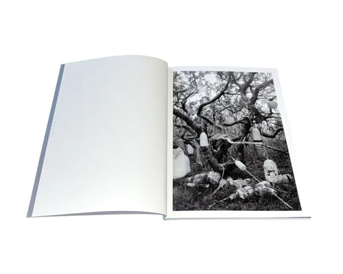 The Big Rot, Ali Beşikçi (ed.)