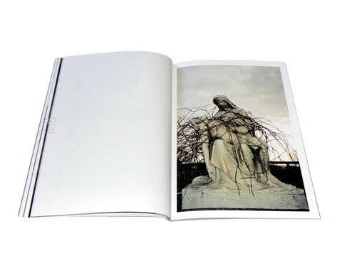 The Big Rot, Ali Beşikçi (ed.)