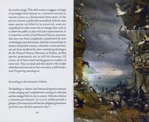 The Cure, Catalina Lozano