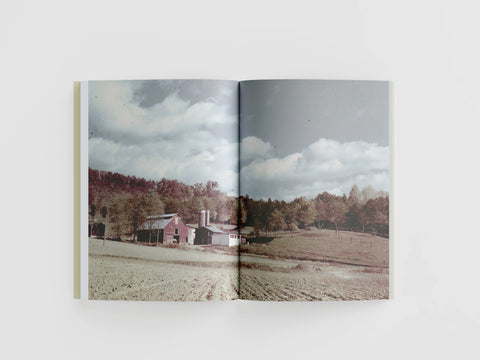 The Farm at Black Mountain College, David Silver