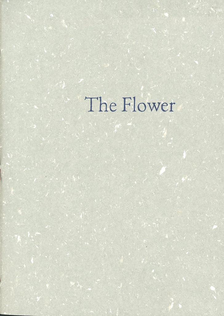 The Flower, Justin Larkin