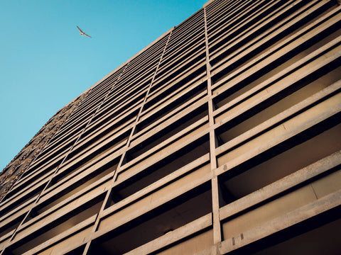 The Modernist, Issue 50: North