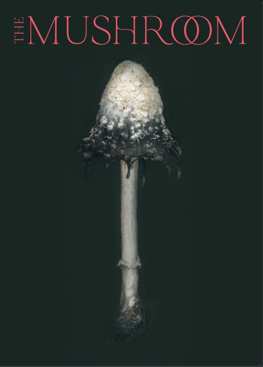 The Mushroom, Issue 3