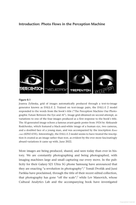 The Perception Machine, Joanna Zylinska