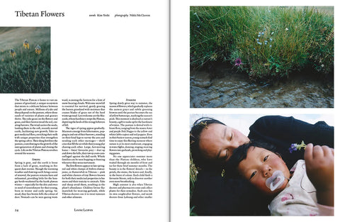 The Plant, Issue 23