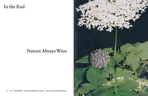 The Plant, Issue 23