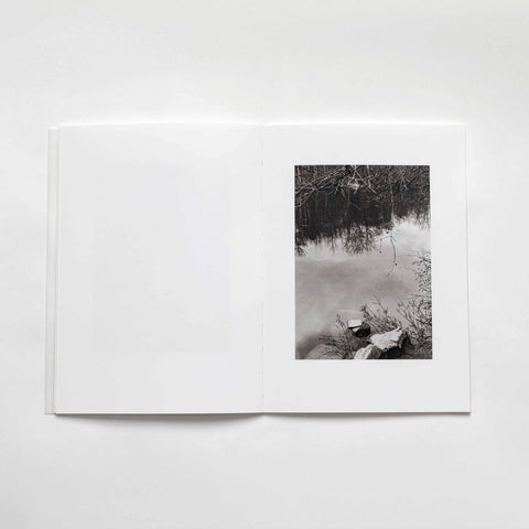 The River Is Moving / The Blackbird Must Be Flying, Gary Green