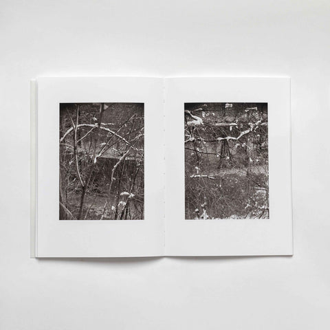 The River Is Moving / The Blackbird Must Be Flying, Gary Green