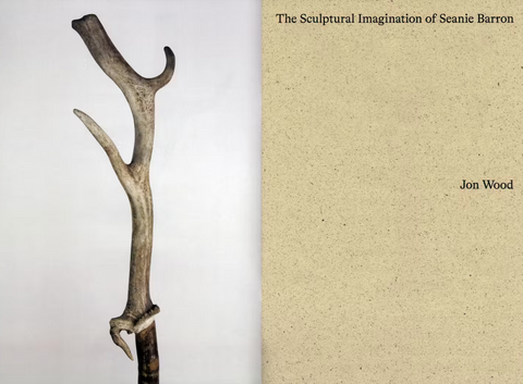 The Sculptural Imagination of Seanie Barron, Jon Wood