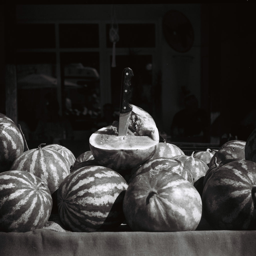 Clara McSweeney, Thinking of Palestine