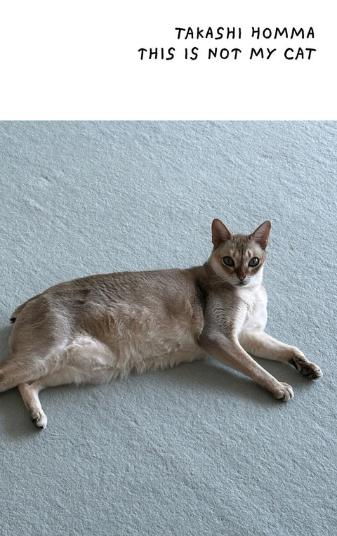 This is not my cat, Takashi Homma