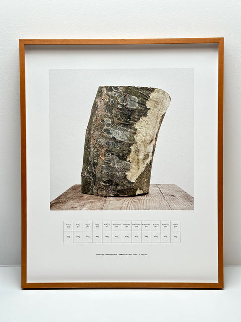 Tim Durham, Log - London Plane - Baggot Street Lower