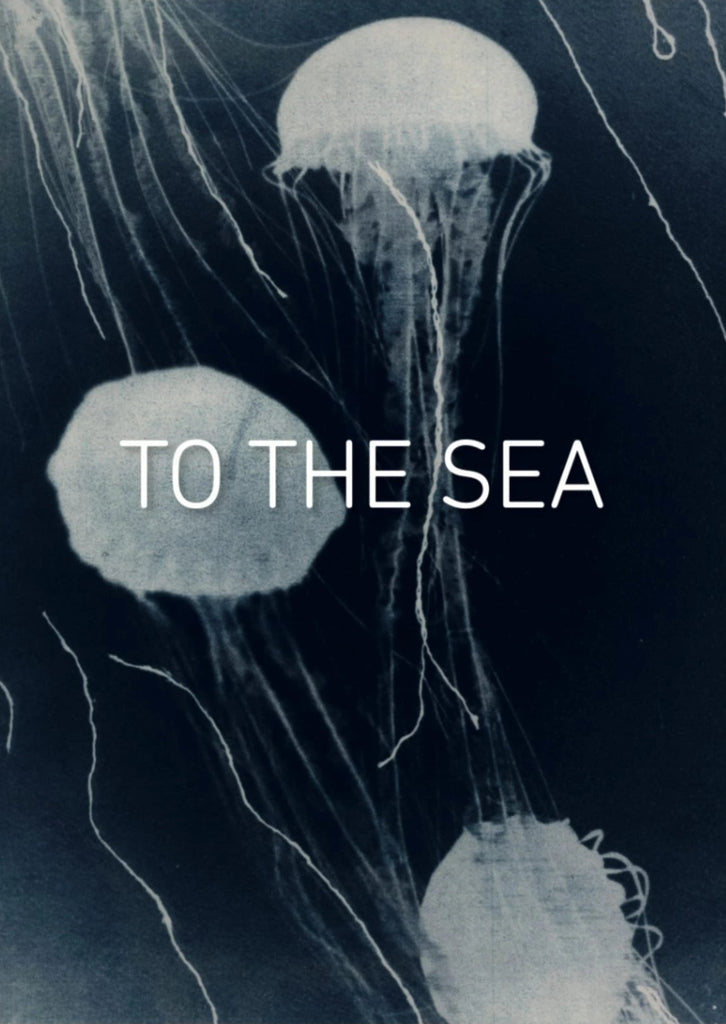 TO THE SEA: A Shutter Hub Editions Publication