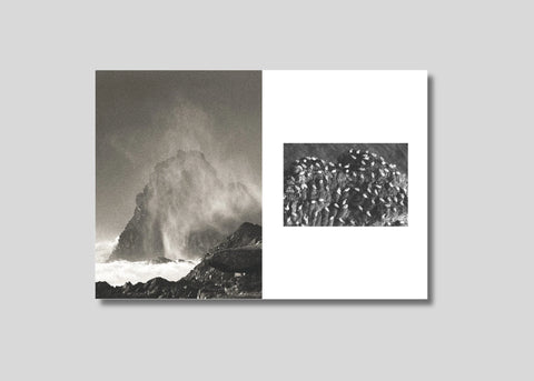 TO THE SEA: A Shutter Hub Editions Publication