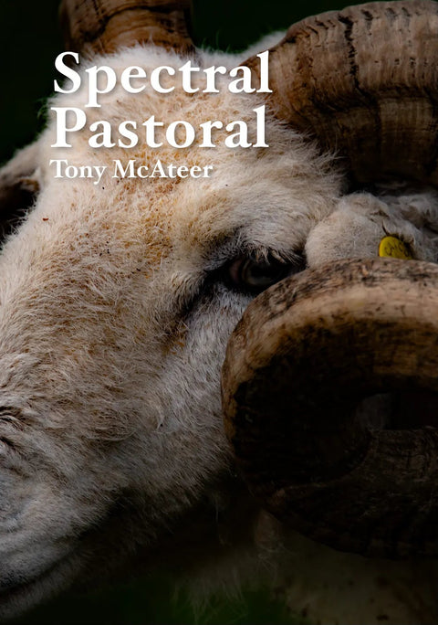 Spectral Pastoral, Tony McAteer