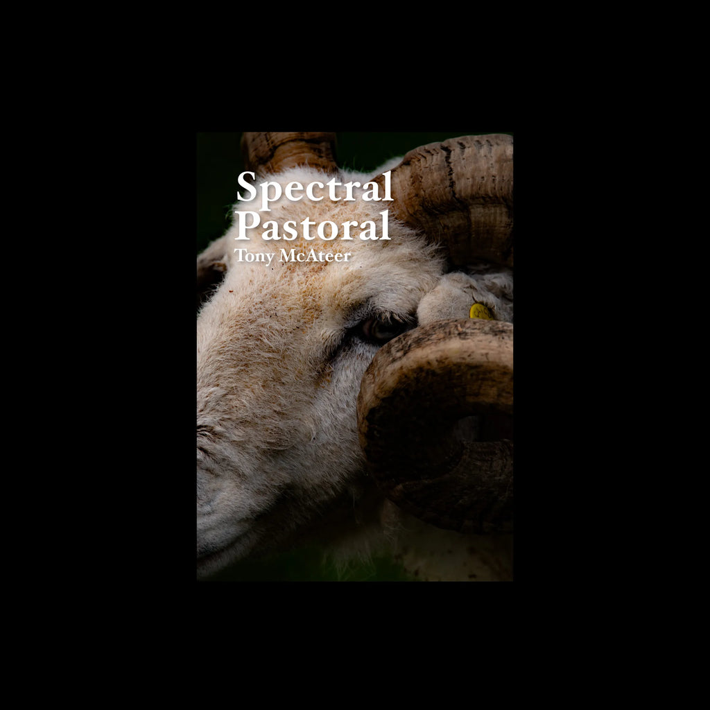 Spectral Pastoral, Tony McAteer