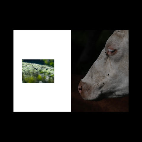 Spectral Pastoral, Tony McAteer