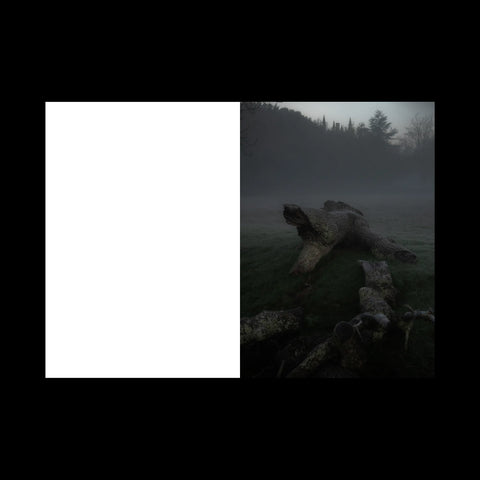 Spectral Pastoral, Tony McAteer