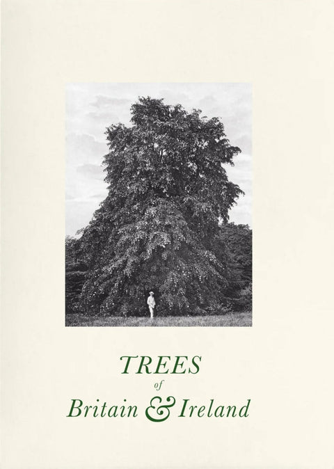 Trees of Great Britain and Ireland, Henry John Elwes and Dr Augustine Henry