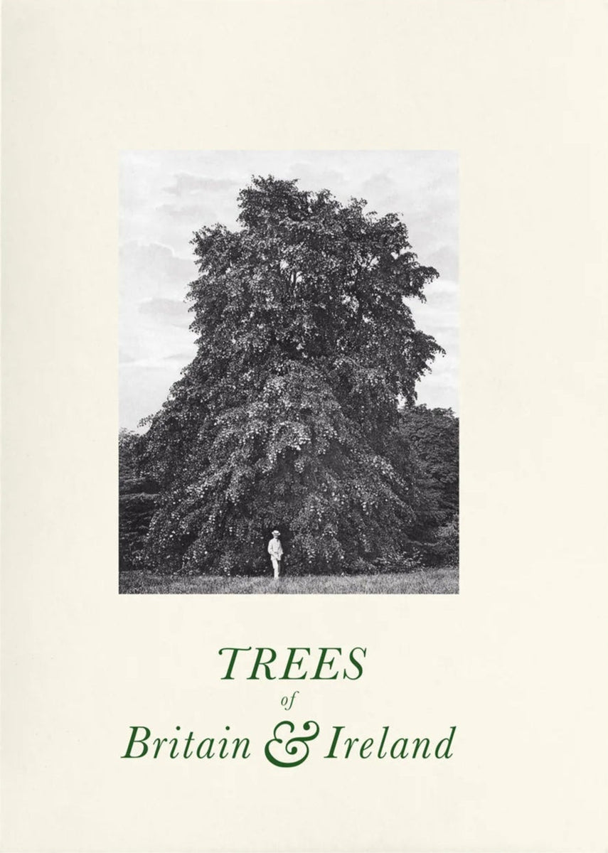 Trees of Great Britain and Ireland, Henry John Elwes and Dr Augustine ...