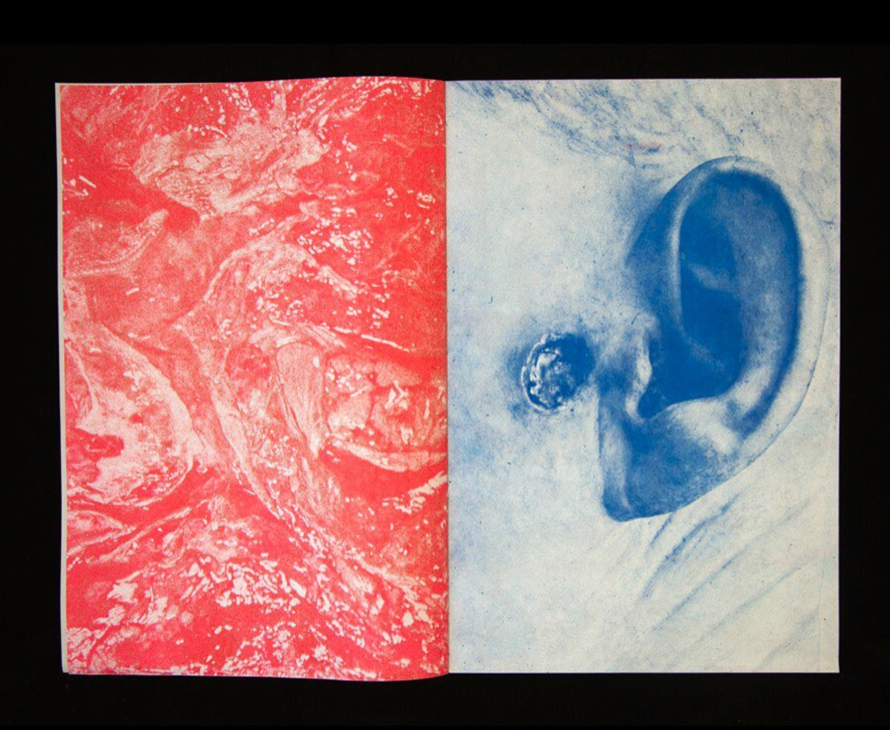 Untitled, Rada Nastai – The Library Project