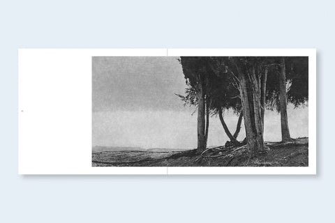 Unnamed Road, Jingjin Lee