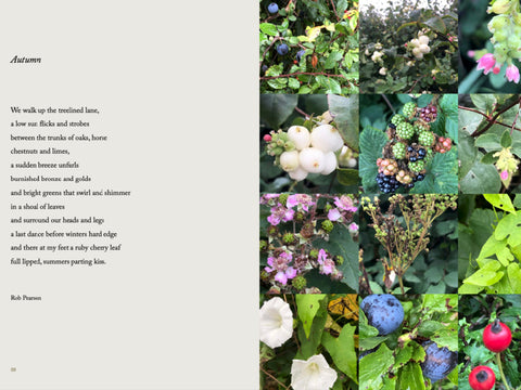 Understory, Helena Gorey