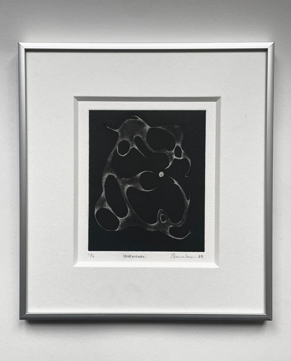 Shania Sampson, Unknown