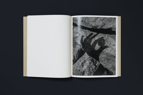 If I call stones blue it is because blue is the precise word, Joselito Verschaeve