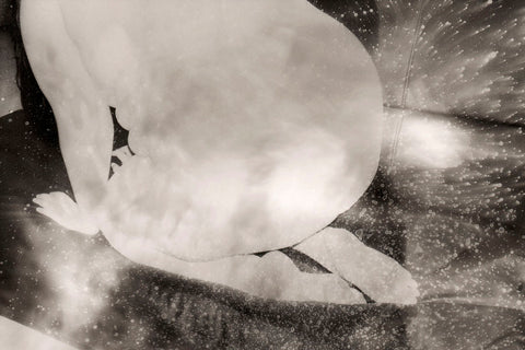 Blind Spot, Julie van der Vaart