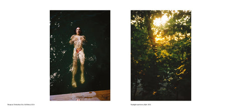 Dreams and How To Keep Them, Vincent Wechselberger