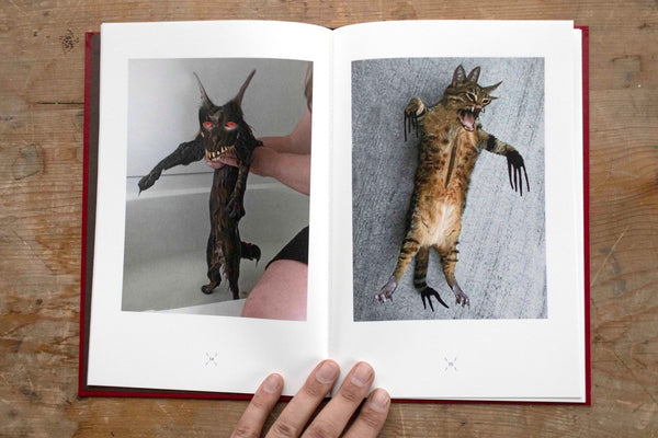 Very Charming Animals: Cats, Augustin Rebetez