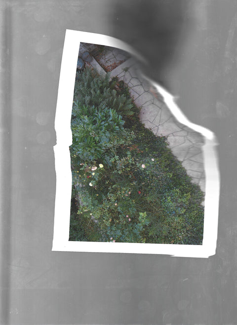 What Began As Desire