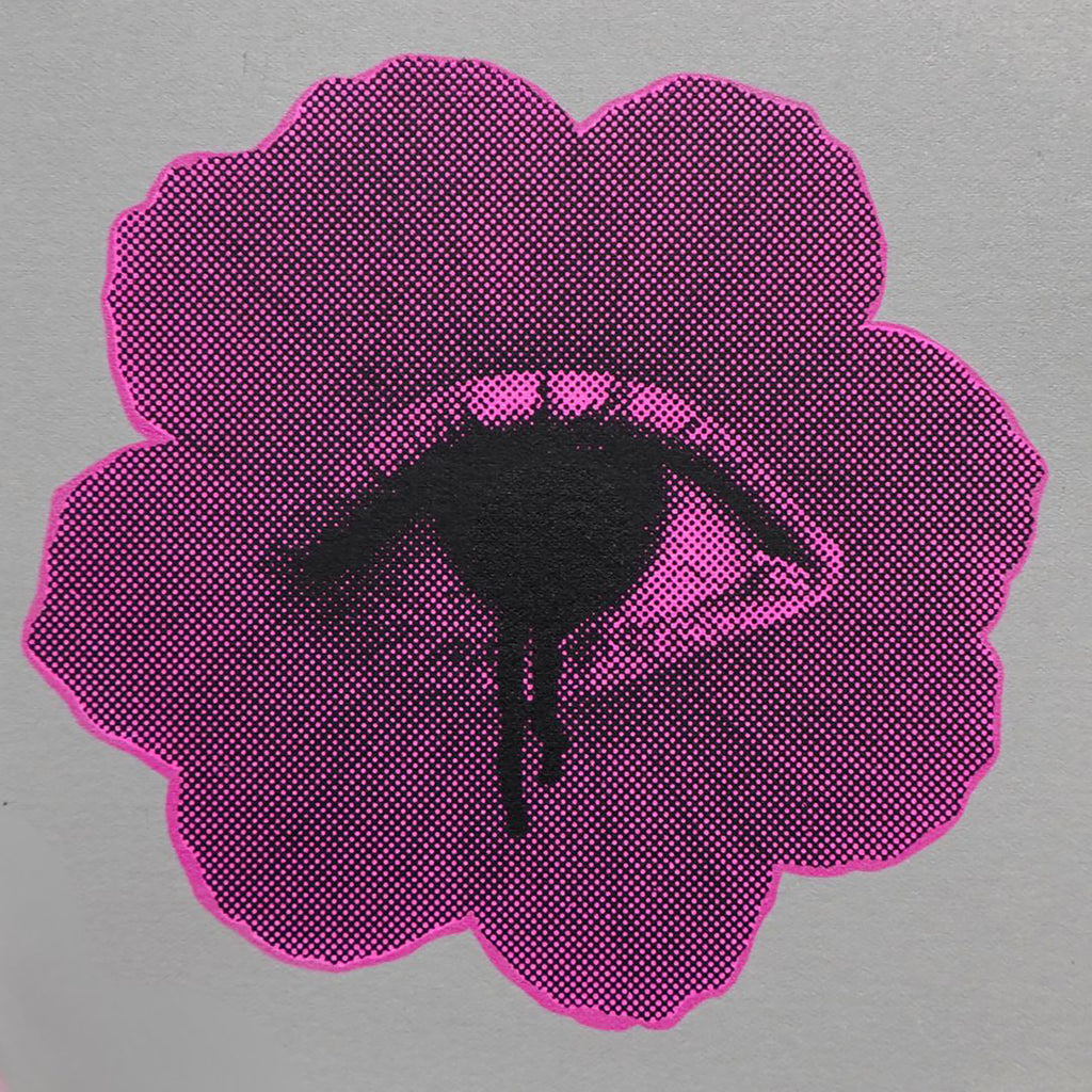 Sibéal Riordan, Flower IV