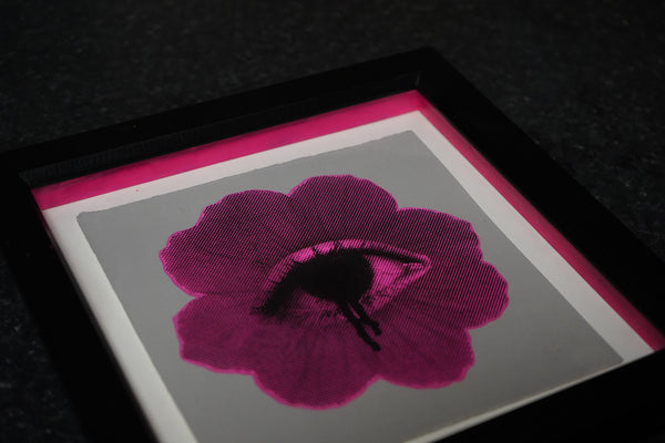 Sibéal Riordan, Flower IV