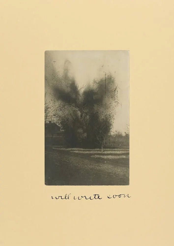 Will Write Soon, David Thomson