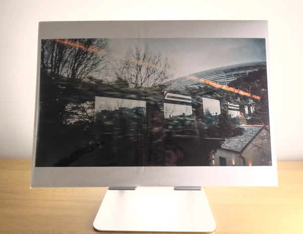 Alicia Basulto, Human Kurtosis: Present and Past