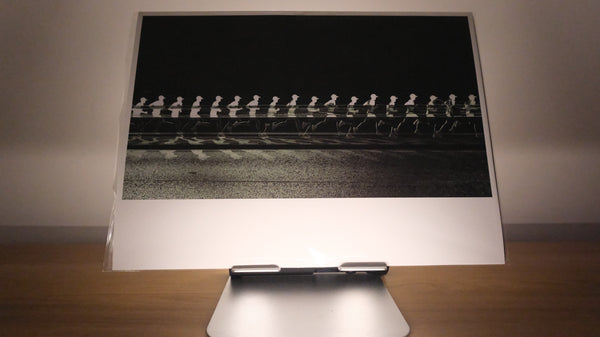 Alicia Basulto, Human Kurtosis: Sports