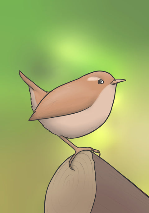 Imprent Wren A4, Joe Hollingsworth i OystercatcherTF