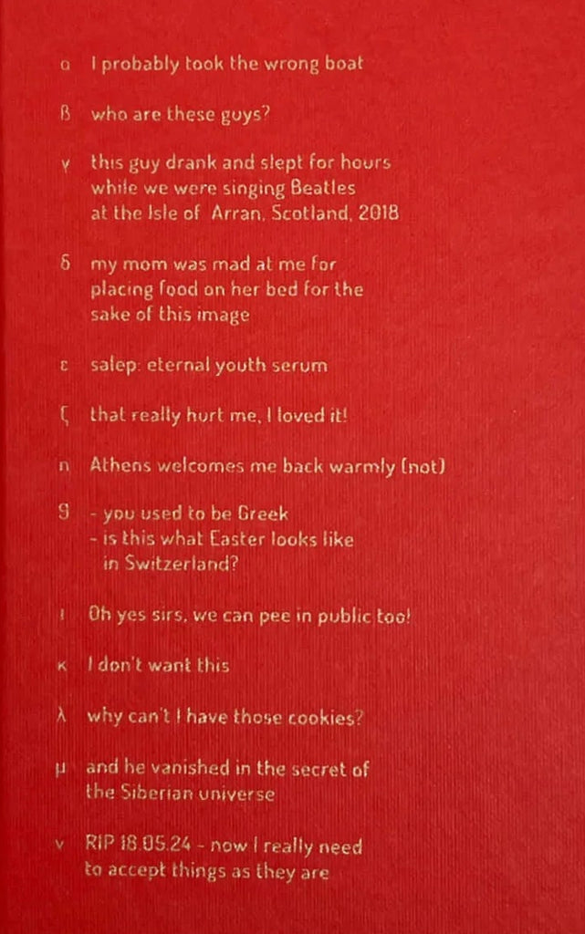 you can't go home again, Antigoni Papantoni