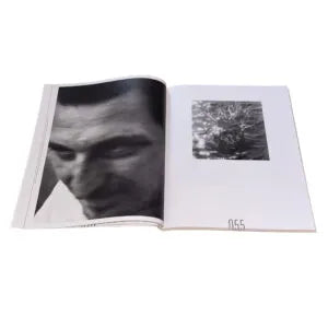 ZIVNE, Ali Beşikçi (ed.)
