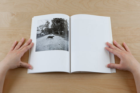 After Geography, Andrew Fedynak