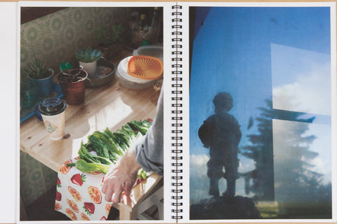 Homesick, Sara J. Winston