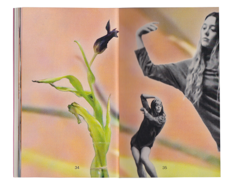 Zoom Books, Catherine Walsh and Pénélope Delaur