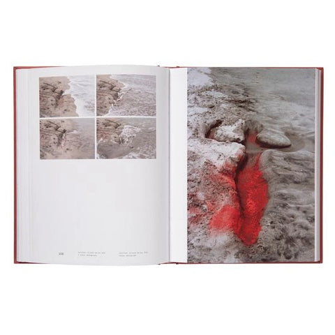 Ana Mendieta