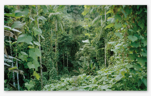 Are We There, Jenni Toivonen